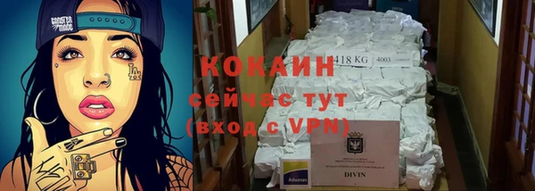 ГАЛЛЮЦИНОГЕННЫЕ ГРИБЫ Горно-Алтайск