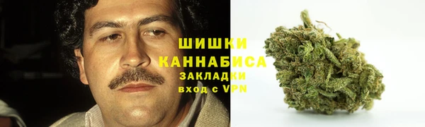ГАЛЛЮЦИНОГЕННЫЕ ГРИБЫ Горно-Алтайск
