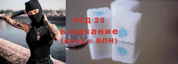 соль ск Горняк