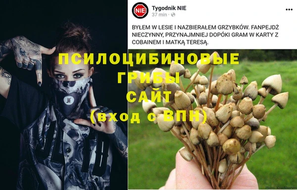 метамфетамин Горнозаводск